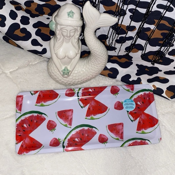 WATERMELON DRYING MAT & DISH SET - Picture 4 of 8